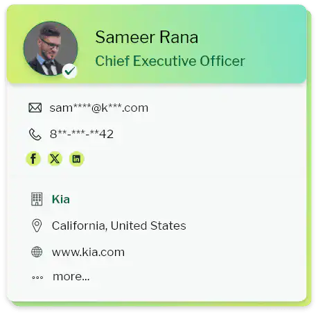 Automotive Industry Email Marketing Data