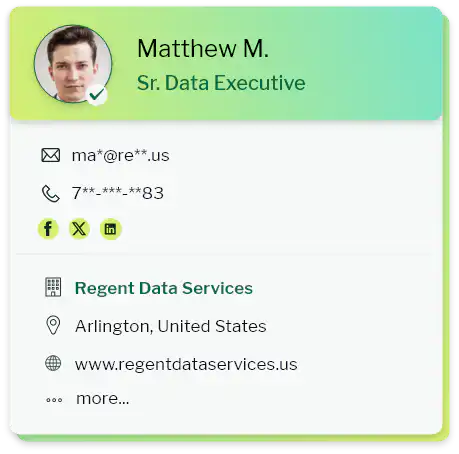 Salesforce Users Email Database