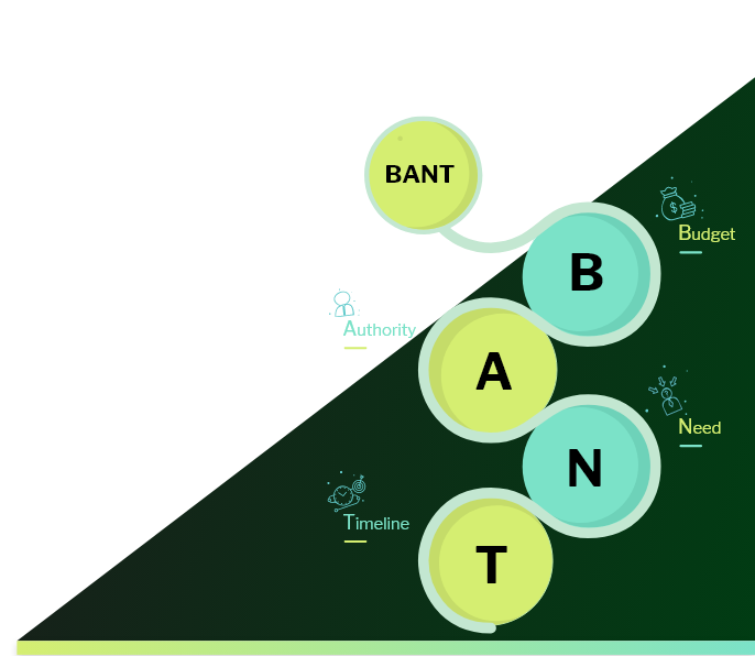 BANT B2B Lead Generation Services
