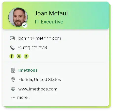 IT Executives mailing list